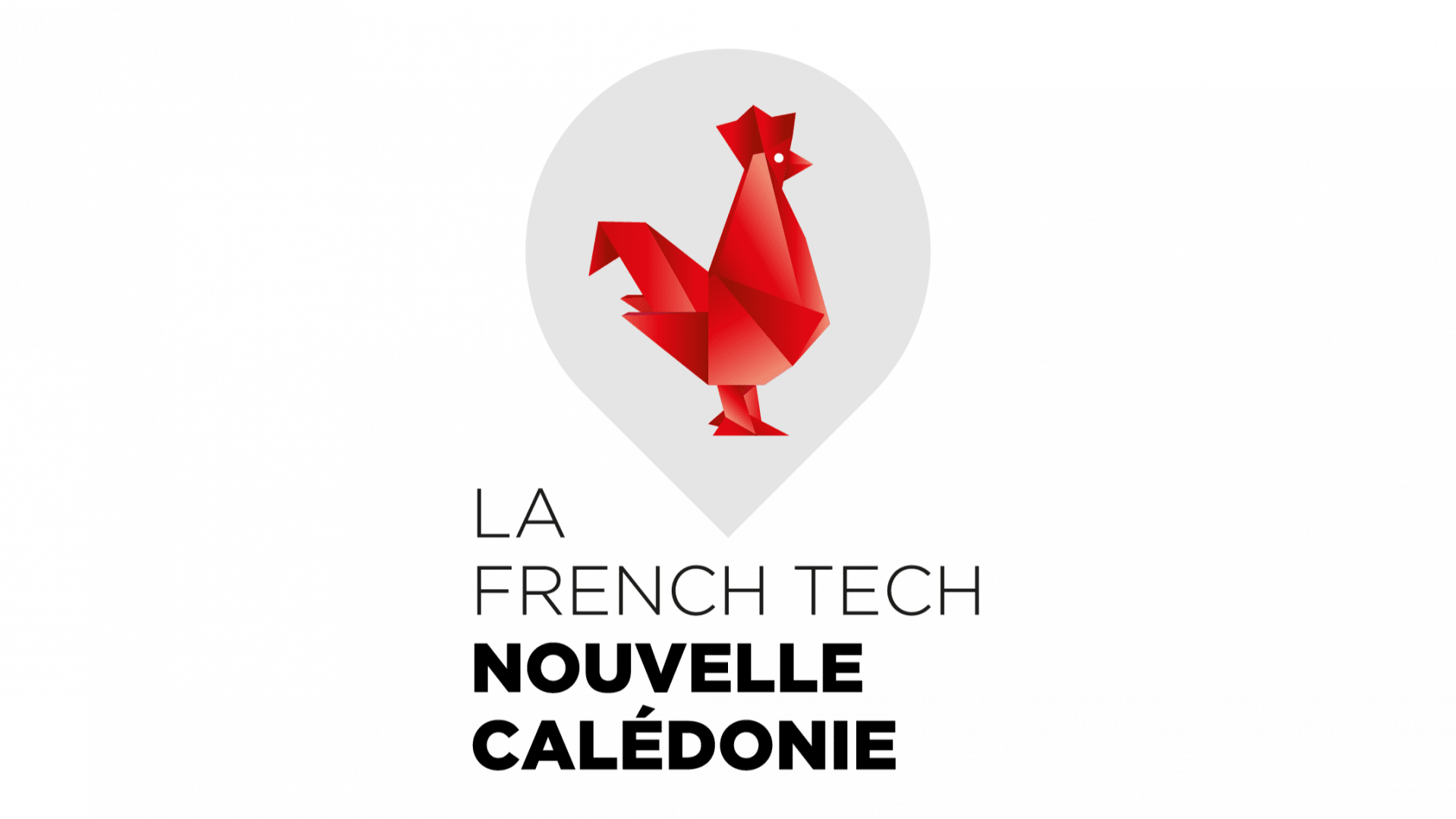 Appels à projet en cours !