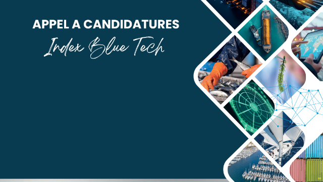Appel à candidatures – Startups ultramarines : participez à la saison 3 du programme Index Blue Tech !