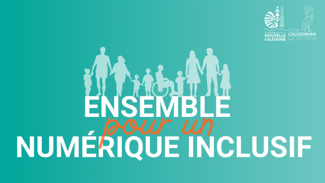 DINUM - Inclusion numérique - Newsletter n°2 - Avril 2025
